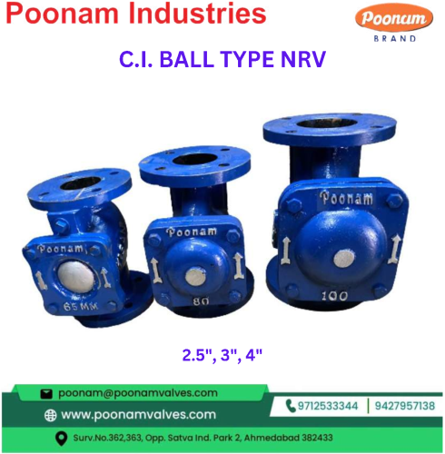 CI Ball Type NRV Manufacturer in India